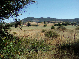 Carretera Malpartida 4