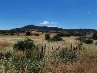 Carretera Malpartida 10