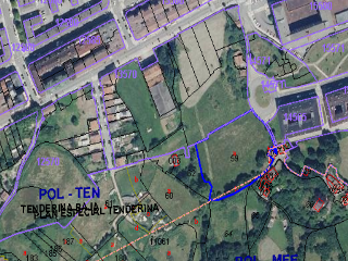 FRANCISCO ARGUELLES 6