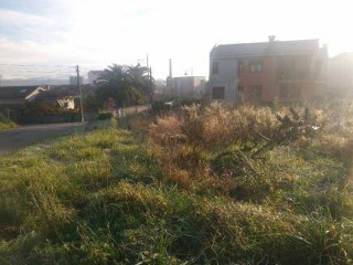 106. Parcela 5