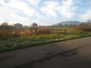 106. Parcela 6