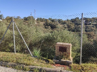 Pisos banco Guillena