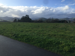 Otros en venta en Valdés