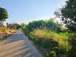 SUZ 56/5 9