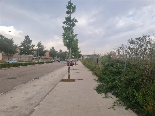 SECTOR SUZR-2 15, Parcela M-3.1 y M-3.2. 2