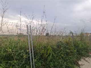 SECTOR SUZR-2 15, Parcela M-3.1 y M-3.2. 3