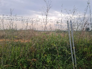 SECTOR SUZR-2 15, Parcela M-3.1 y M-3.2. 5