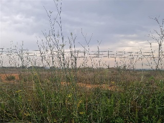 SECTOR SUZR-2 15, Parcela M-3.1 y M-3.2. 6