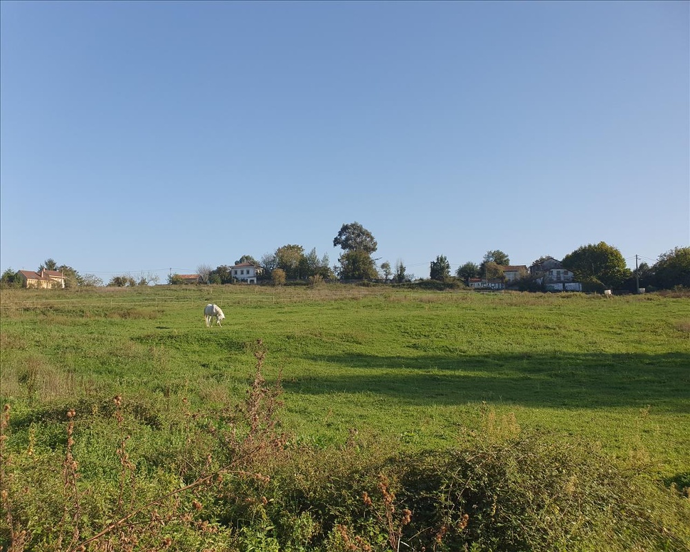 BO MERCADIN ALTO Suelo Polígono 25