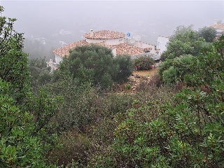 Pisos banco Dénia