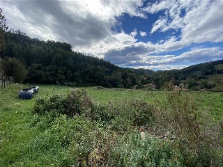 Otros en venta en Alfoz De Lloredo