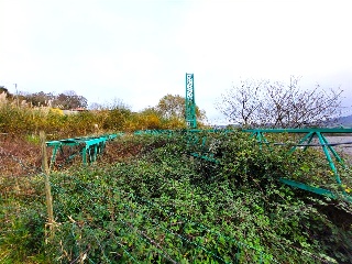 EL PEDROUZO, FINCA DEL QUINTANAL 3