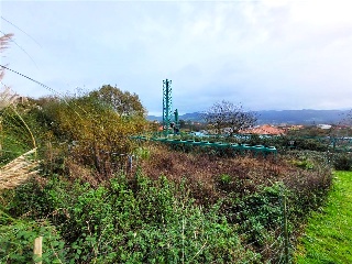 EL PEDROUZO, FINCA DEL QUINTANAL 5