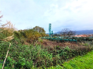 EL PEDROUZO, FINCA DEL QUINTANAL 6