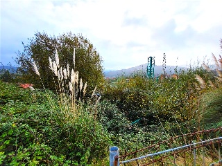 EL PEDROUZO, FINCA DEL QUINTANAL 7