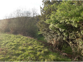 Remeros del Nalón 5