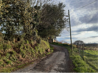 Remeros del Nalón 6