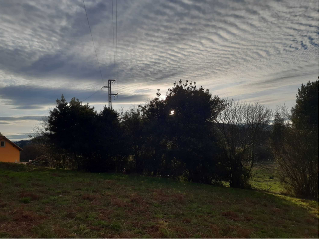 Remeros del Nalón 11