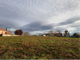 Remeros del Nalón 12