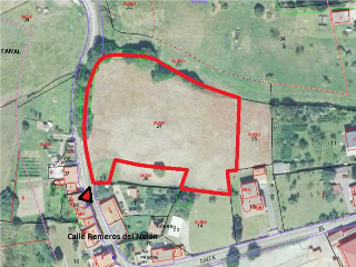 Remeros del Nalón 14