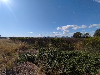 PARAJE BENADRESA- POLIG 92-PARC 15 Y 16 4