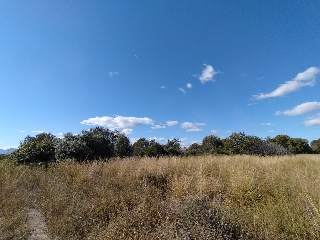 PARAJE BENADRESA- POLIG 92-PARC 15 Y 16 5