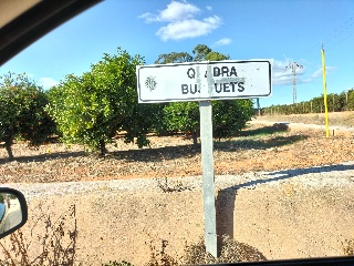 PARAJE BENADRESA- POLIG 92-PARC 15 Y 16 8