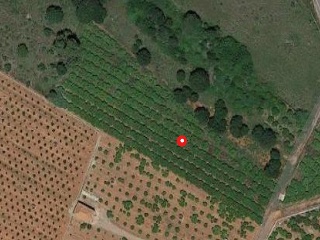 PARAJE BENADRESA- POLIG 92-PARC 15 Y 16 9