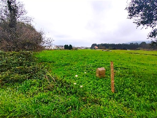 1. Parcela 3