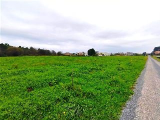 1. Parcela 5