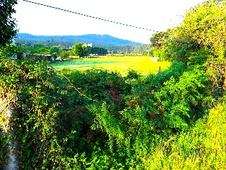1. Parcela 6