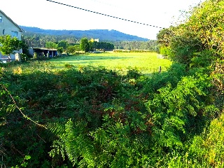 1. Parcela 8