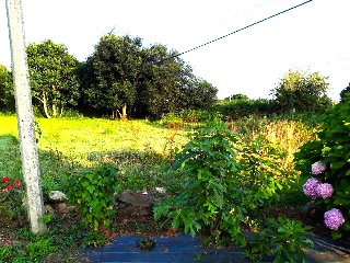 1. Parcela 9