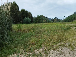 VINQUIÑO-ADINA. Polígono 47. Parcela 3