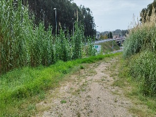 VINQUIÑO-ADINA. Polígono 47. Parcela 5