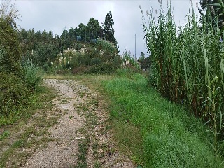 VINQUIÑO-ADINA. Polígono 47. Parcela 7