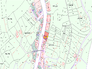 MANUEL PLATAS VARELA 11