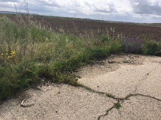 Otros en venta en Torrejón De La Calzada