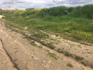 DE SANTA JUANA (POLIGONO 5, PARCELA 50, S-14) 3