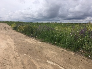 DE SANTA JUANA (POLIGONO 5, PARCELA 50, S-14) 8