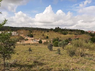 NUS-20 GOLF GUADIANA, MANZANAS C-3.A 2