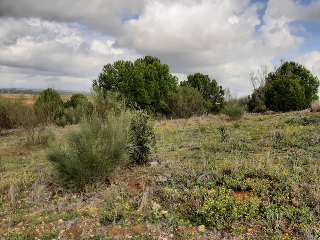 NUS-20 GOLF GUADIANA, MANZANAS C-3.A 4