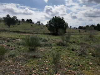 NUS-20 GOLF GUADIANA, MANZANAS C-3.A 7