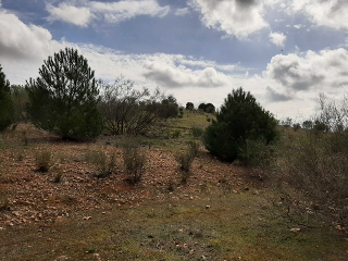 NUS-20 GOLF GUADIANA, MANZANAS C-3.A 8