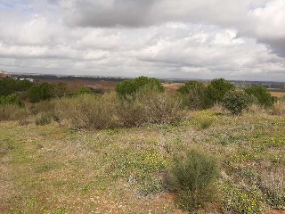 NUS-20 GOLF GUADIANA, MANZANAS C-3.A 9