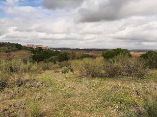 NUS-20 GOLF GUADIANA, MANZANAS C-3.A 10