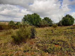 NUS-20 GOLF GUADIANA, MANZANAS C-3.A 11