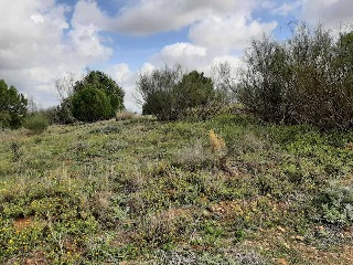 NUS-20 GOLF GUADIANA, MANZANAS C-3.A 14