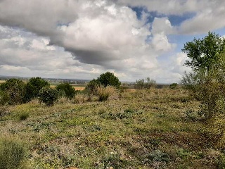 NUS-20 GOLF GUADIANA, MANZANAS C-3.A 15