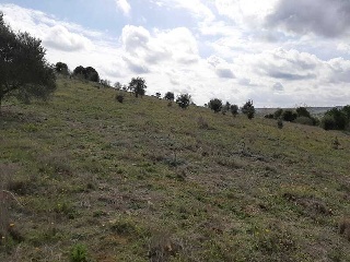 NUS-20 GOLF GUADIANA, MANZANAS C-3.A 17